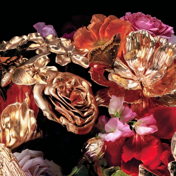 Meet your Posher, Maude - Picture 1 of 1